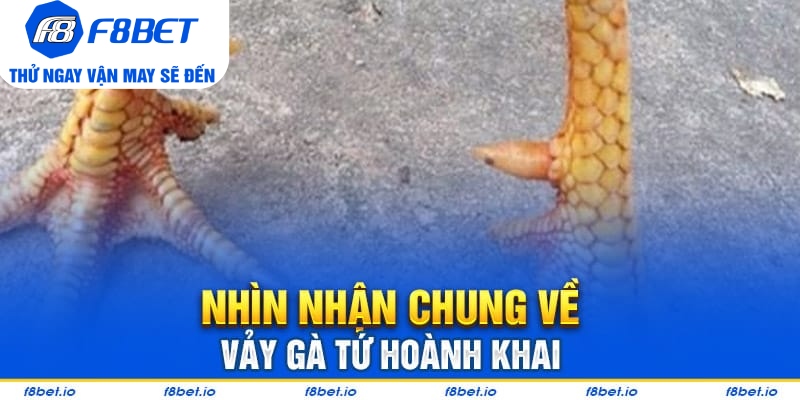 Có nên lựa chọn kê có vảy tứ hoành khai hay không?